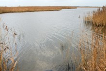 Angelplatz Uggelhuse im Randers Fjord
