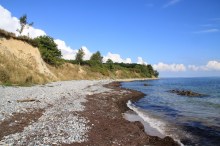 Angelplatz Fanefjord Skov auf Møn