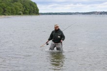 Angeln am Kleinen Belt bei Kolding